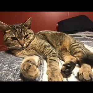 Meet your Posher, Jason